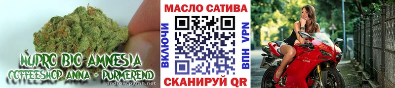 магазин продажи   Туринск  Дистиллят ТГК концентрат 